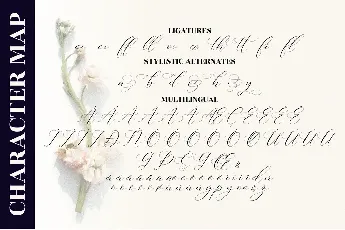 Gashina Lattiva font