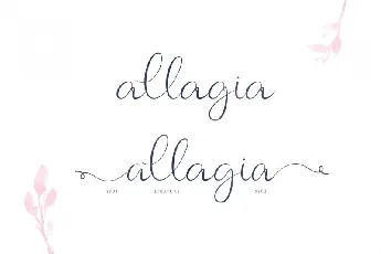 Allagia Script font