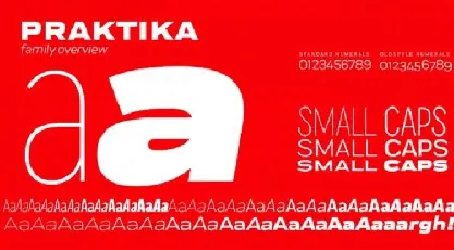 Praktika font