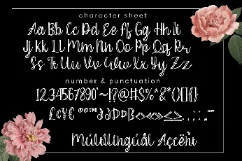 Ceylonia font