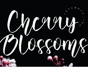 Cherry Blossoms font