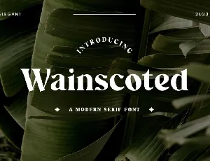 Wainscoted font