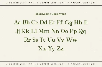 Bookinnes font