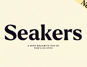 Seakers font