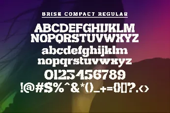 Brisk Compact font