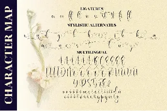 Olivianta Pettcia font