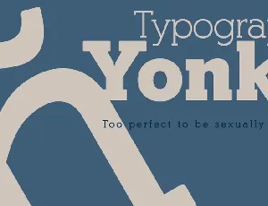 Yonky Slab Typeface font