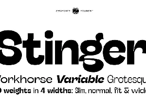 Stinger Wide Trial font