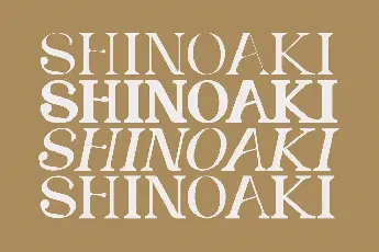 SHINOAKI Serif font