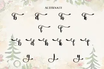 Christmas Vintage Script font