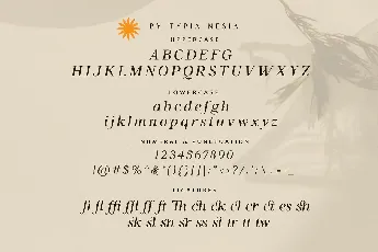 Blisstwin font