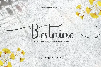 Bestnine Demo font