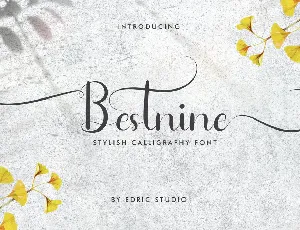 Bestnine Demo font