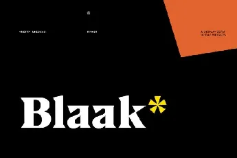 Blaak Serif Family font