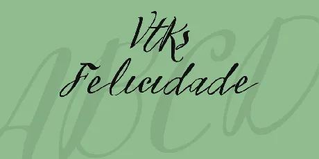 Vtks Felicidade 2016 font