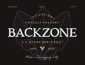 Backzone font