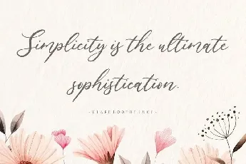 Lavineta Elegant Calligraphy font