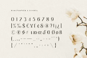 SS Royal font