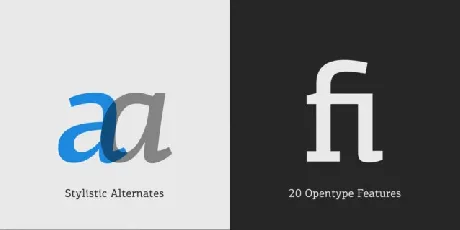 PF Centro Slab Family font