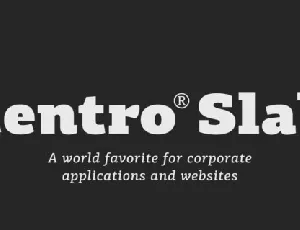 PF Centro Slab Family font