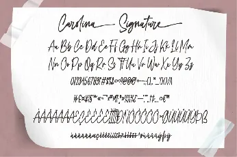 Carolina Signature font