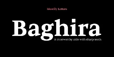 Baghira Family font