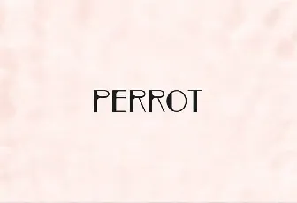 PERROT Display font