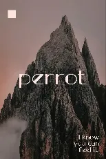 PERROT Display font