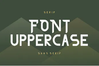 THE AFFORD DEMO font