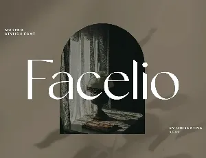 Facelio font