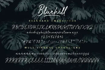 Bluehill font