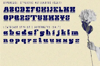 BERETTA font