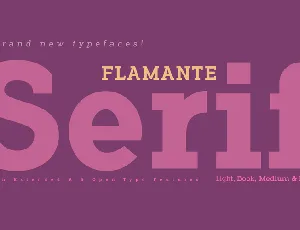 Flamante Serifs font