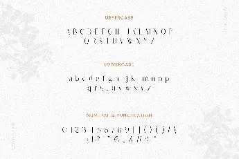 Astella font