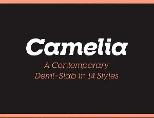 RNS Camellia font