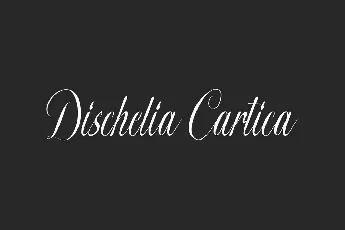 Dischelia C Demo font