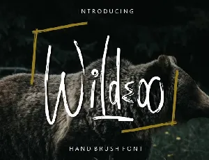 Wildeoo Hand Brush font