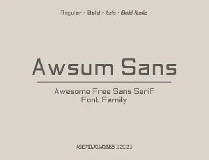Awsum Sans Family font
