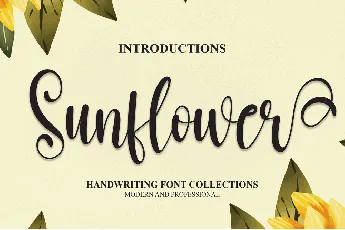 Sunflower Calligraphy Typeface font