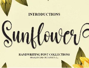 Sunflower Calligraphy Typeface font