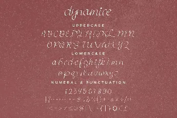 Dynamice Demo font