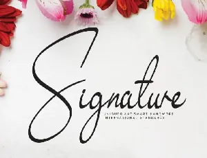 Signature – Exquisite Handwritten font