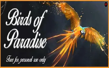 Birds of Paradise Free Download font