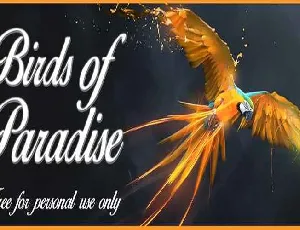 Birds of Paradise Free Download font