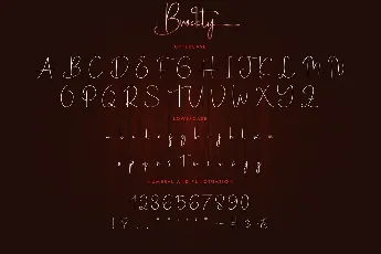 Brockly Demo font