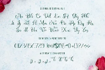 Bittyswit font