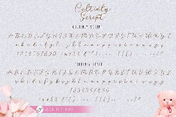 Coltinly Script font