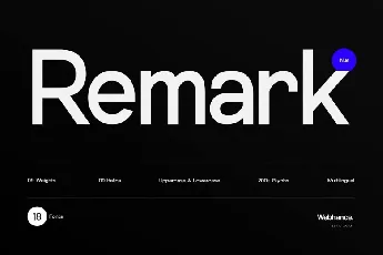 Remark Nue Family font