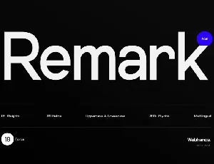 Remark Nue Family font