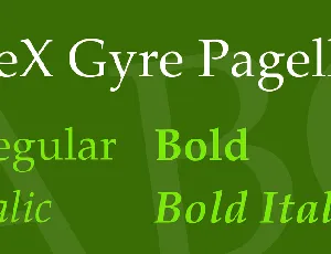 TeX Gyre Pagella font